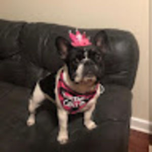 Meet your Posher, Elias